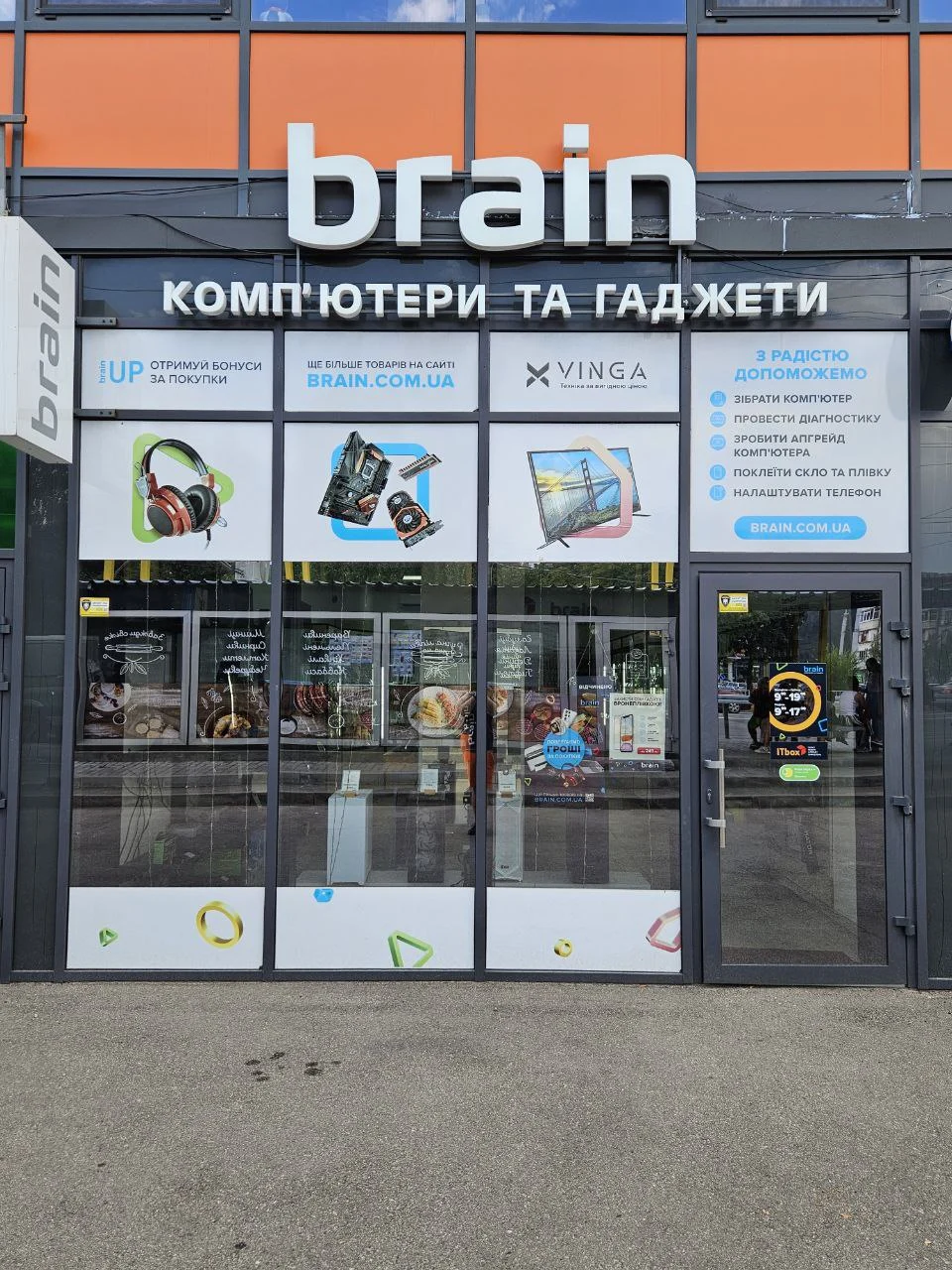Brain