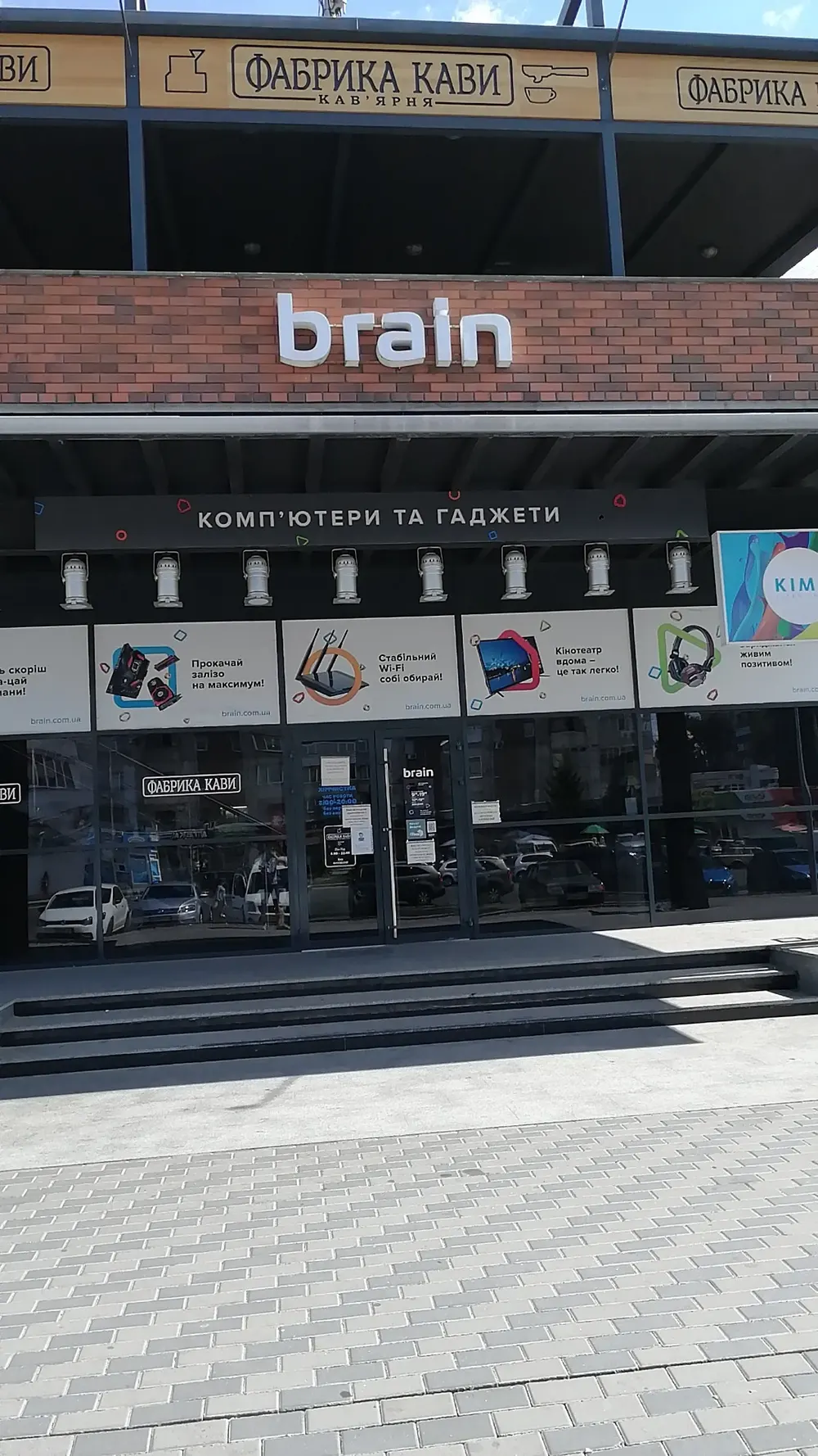 Brain - 2