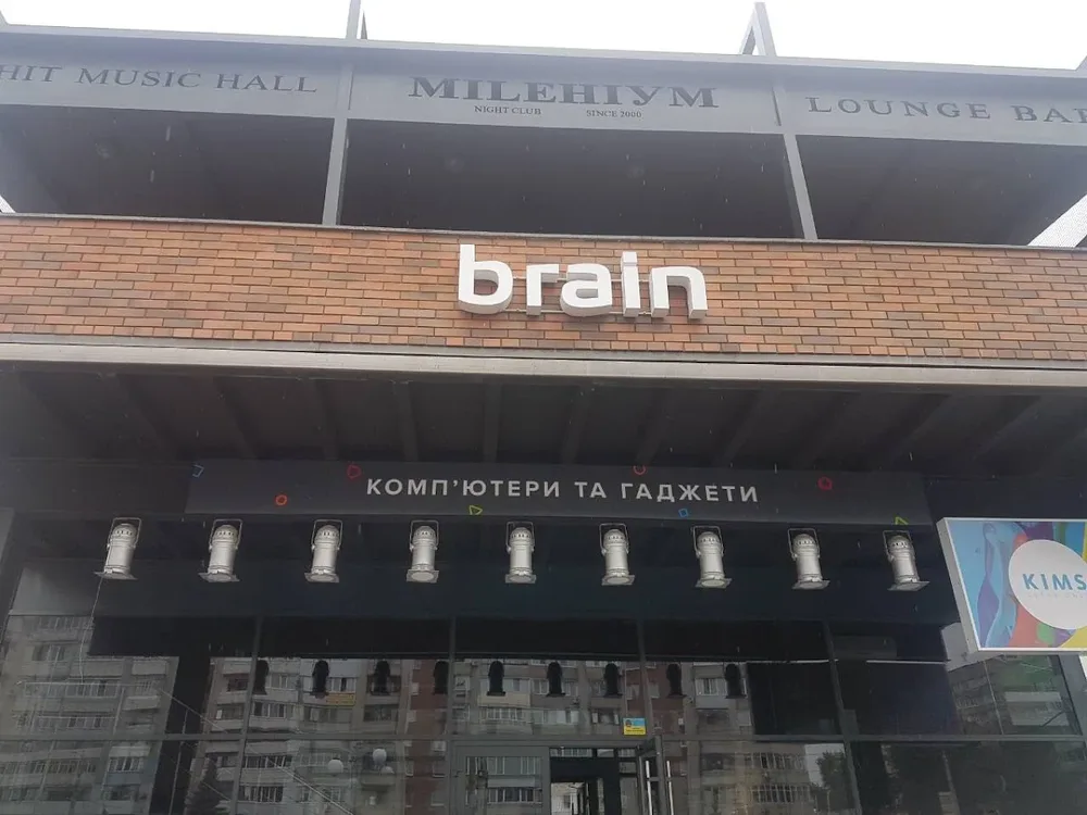 Brain - 4