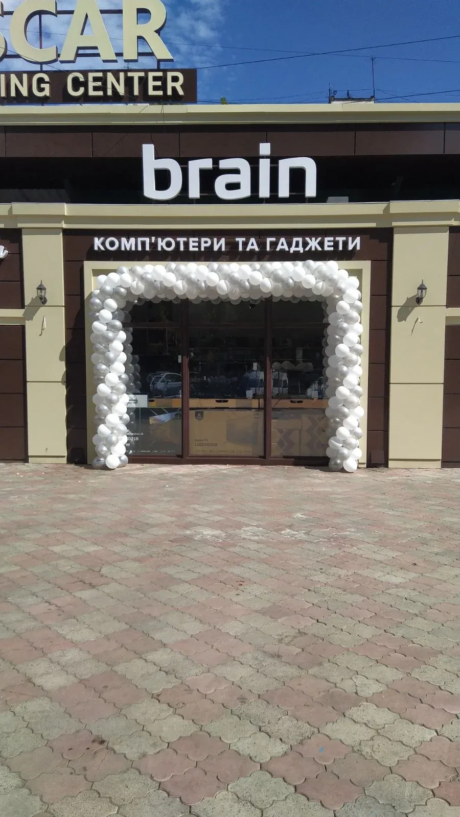 Brain - 4