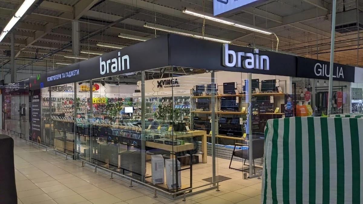 Brain