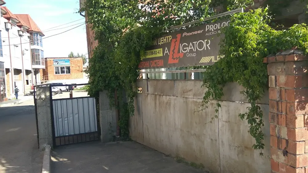 Алігатор, установчий центр