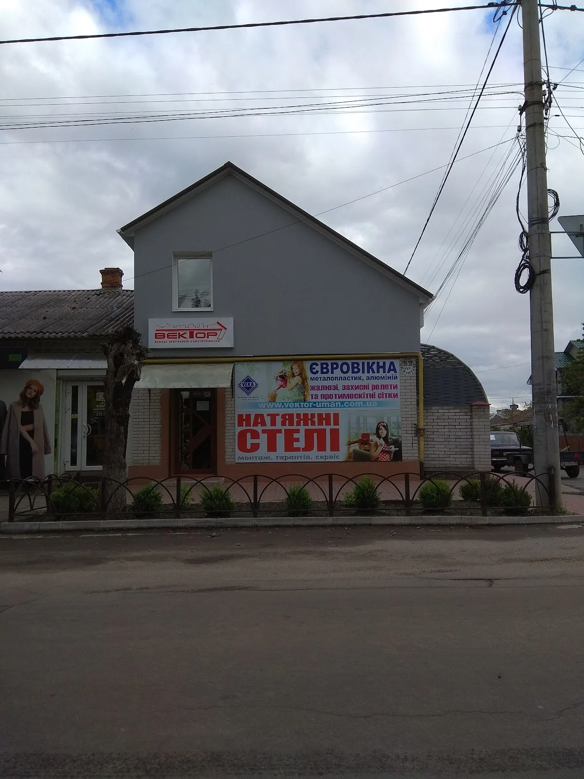 Вектор
