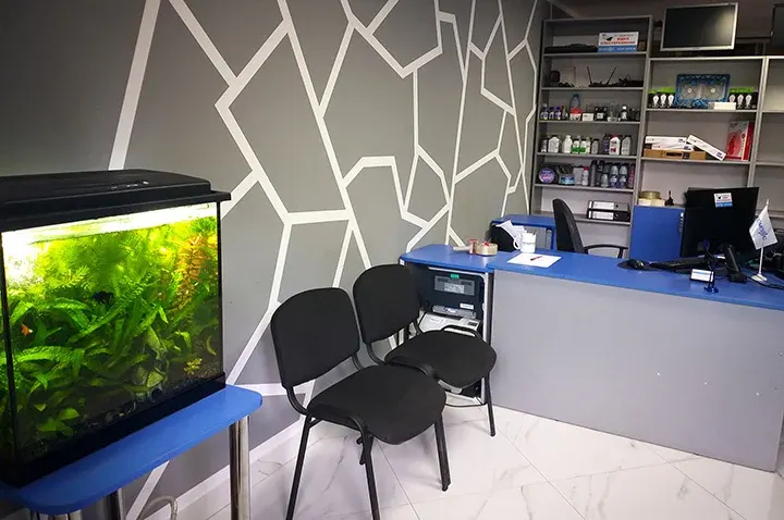 Компас - 2