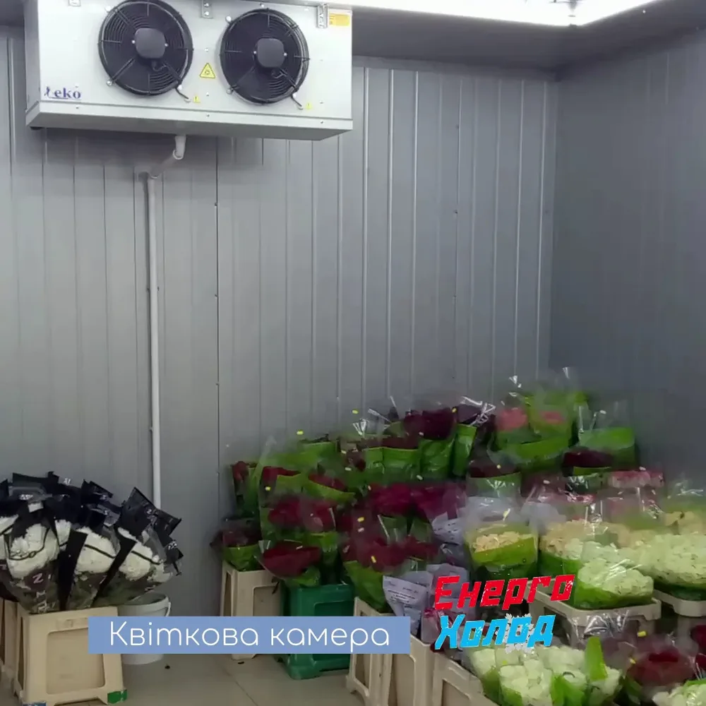 ПП, Енергохолод - 2