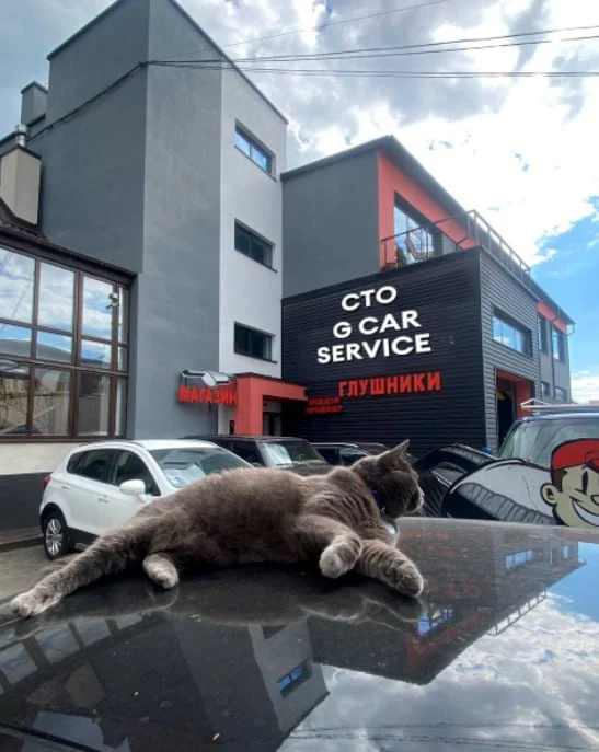СТО G CAR Service (Джикар Сервіс)