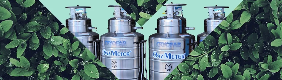 ТОВ "ГАЗМЕТЕР" ("GAZMETER" LLC)